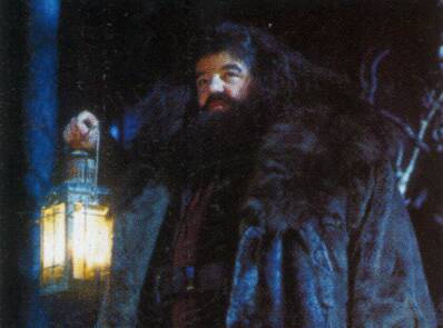 Closeup of Hagrid in the forbidden forest